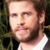 Liam Hemsworth. Fuente: flickr. Autor: Dick Thomas Johnson
