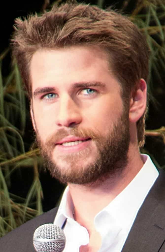 Liam Hemsworth. Fuente: flickr. Autor: Dick Thomas Johnson