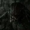 Image from the movie "Predator"