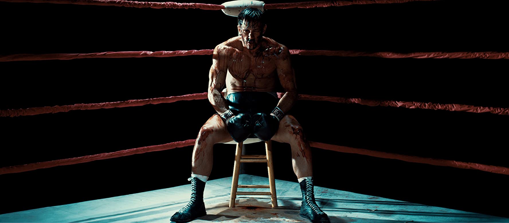 In Full Bloom (2020)