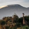 Viajar a Kenia