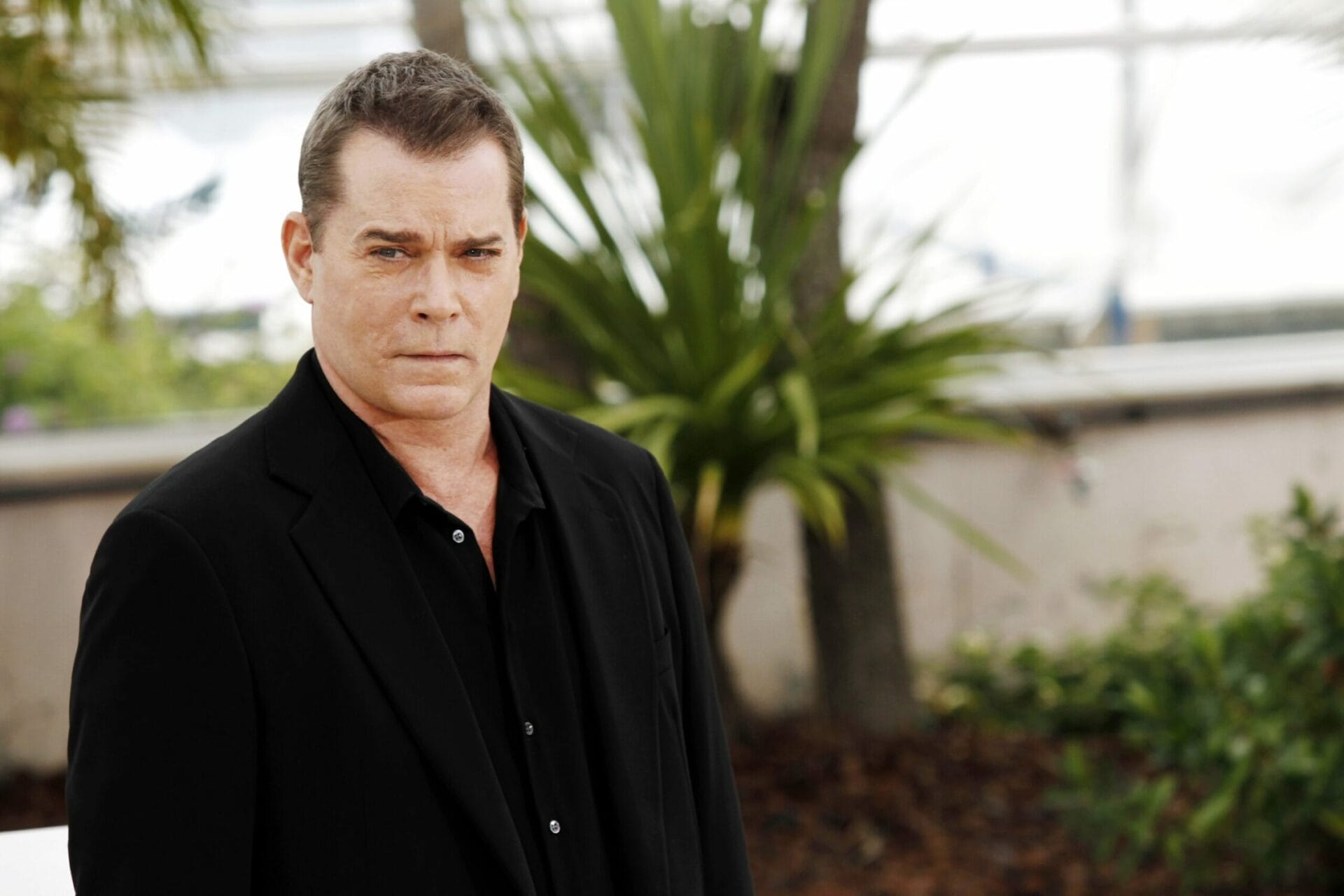 Ray Liotta