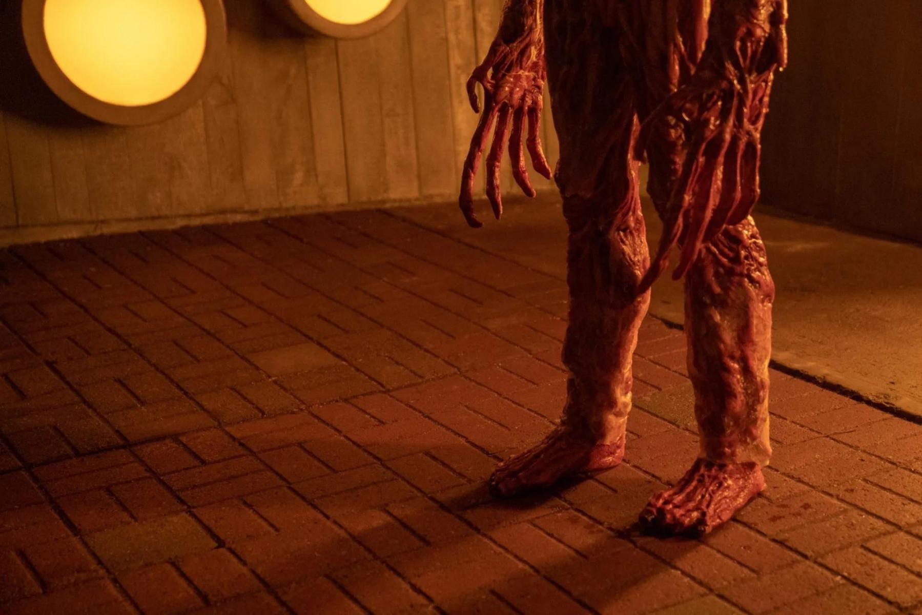 El gabinete de curiosidades: La visita