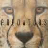 Predadores