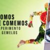Somos lo que comemos: Un experimento con gemelos - Netflix