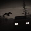 The Mothman Revisited