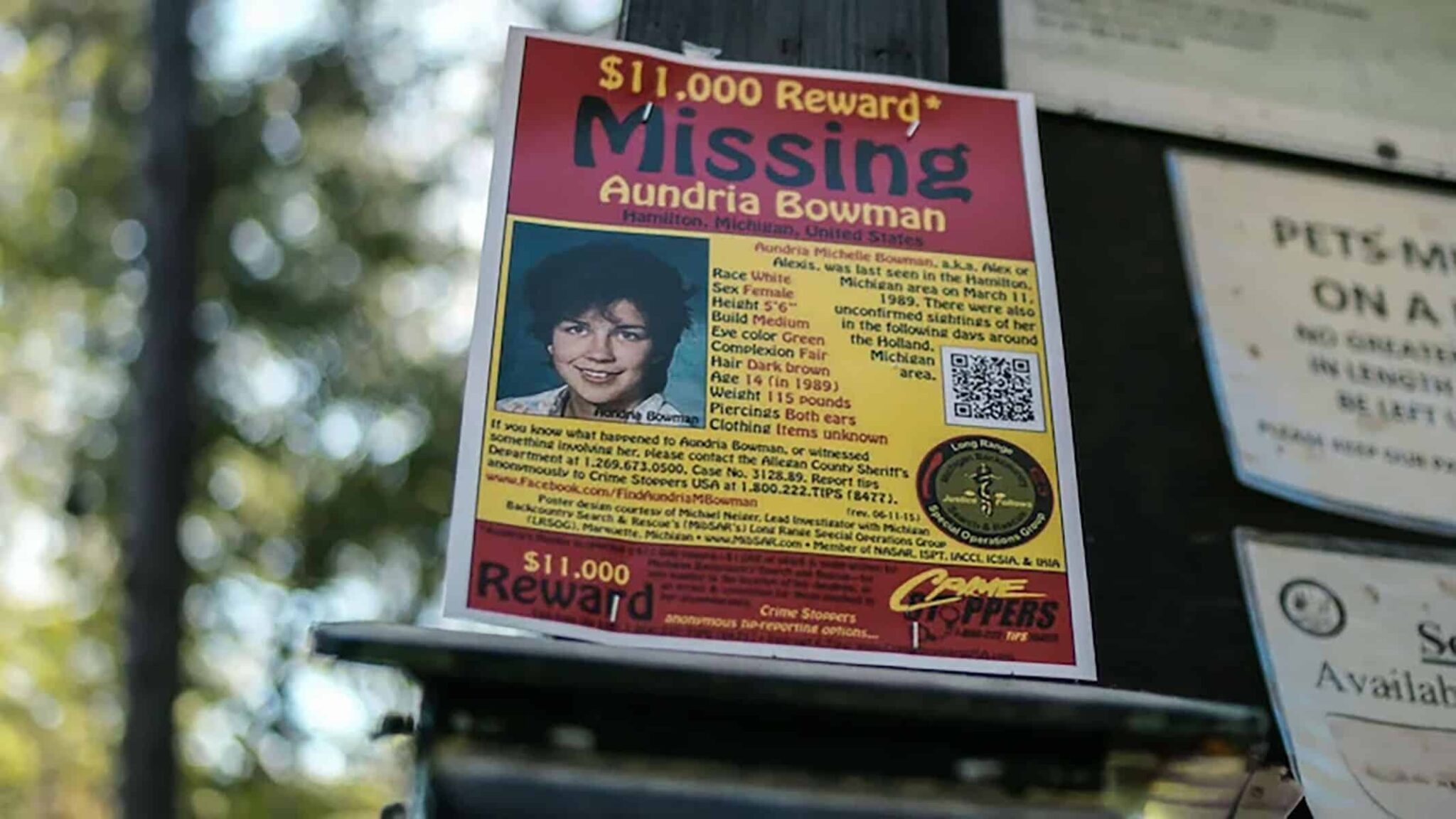 Entre las llamas: La hija perdida