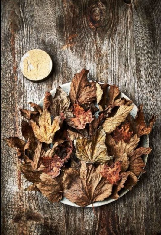 Restaurant Koks, Faroe Islands, Crispy celeriac with fermented celeriac powder and mushroom emulsion, Credit: Claes Bech Poulsen.